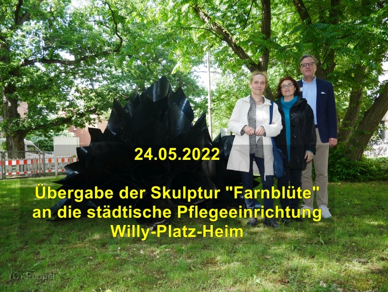 A Farnbluete Willy-Platz-Heim.jpg